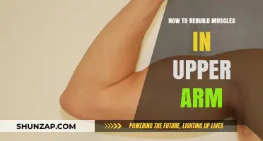 Effective Strategies to Rebuild Upper Arm Muscles: A Comprehensive Guide