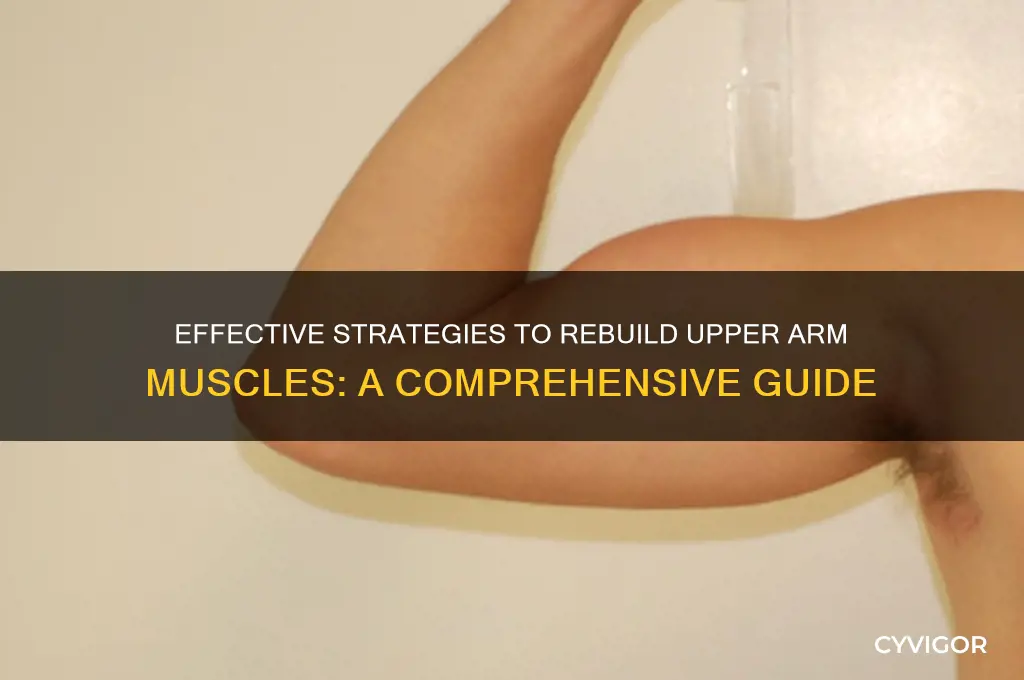 how to rebuild muscles in upper arm