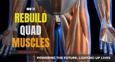 Rebuilding Quads: Strategies for Strength and Muscle Gain