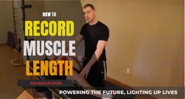 Recording Muscle Length: Techniques for Accurate Measurement