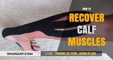 Revive Your Calves: A Comprehensive Guide to Muscle Recovery
