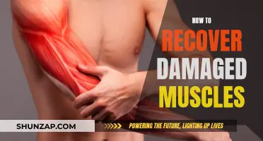 Recovering Damaged Muscles: Tips for Quick and Effective Healing