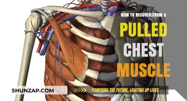 Effective Recovery Tips for Healing a Pulled Chest Muscle Fast