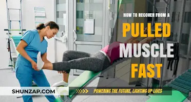 Quick Recovery Tips for Pulled Muscles: Heal Faster and Smarter