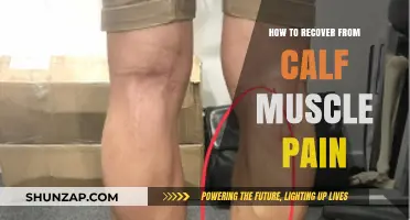 Effective Strategies to Heal and Prevent Calf Muscle Pain Quickly