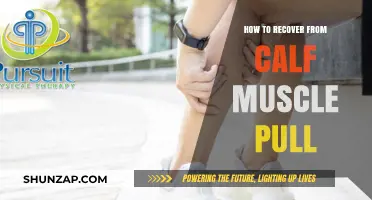 Effective Recovery Tips for Healing a Pulled Calf Muscle Fast