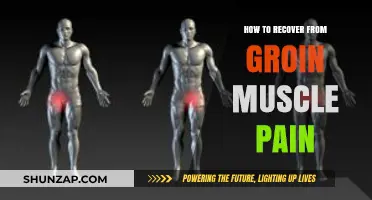 Effective Recovery Strategies for Groin Muscle Pain Relief and Healing