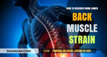 Easing Lower Back Pain: A Guide to Muscle Strain Recovery