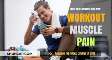 Effective Strategies to Relieve and Recover from Post-Workout Muscle Pain