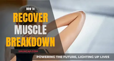 Rebuilding Muscles: Strategies for Effective Recovery from Breakdown