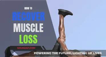 Rebuilding Muscle: Strategies for Effective Muscle Recovery