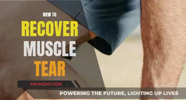 Recovering from Muscle Tears: Effective Strategies for Rehabilitation