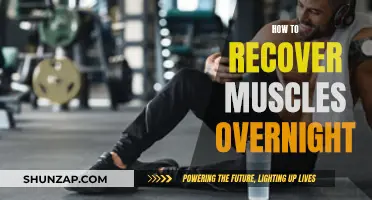 Muscle Recovery Strategies: Overnight Repair and Growth