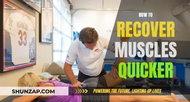 Quick Muscle Recovery: Techniques for Fast Results