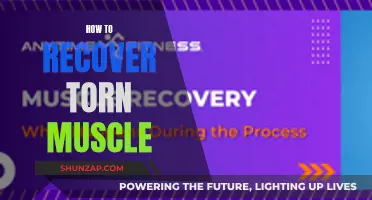 Recovering from a Torn Muscle: Effective Strategies and Techniques