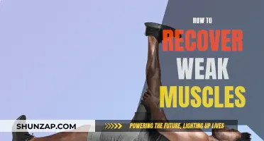 Rebuilding Weak Muscles: Strategies for Strength and Recovery