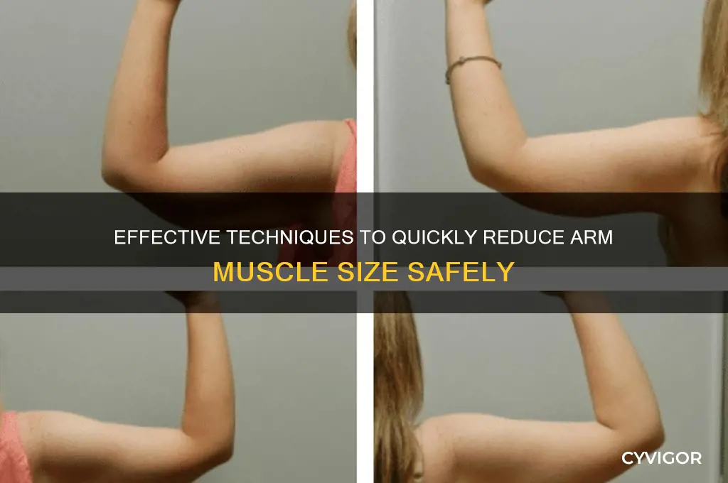 Effective Techniques To Quickly Reduce Arm Muscle Size Safely | CyVigor