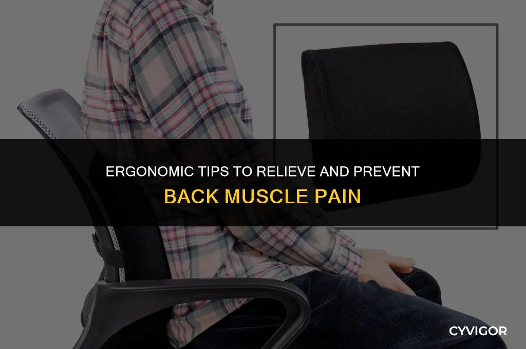how to reduce back muscle pain
