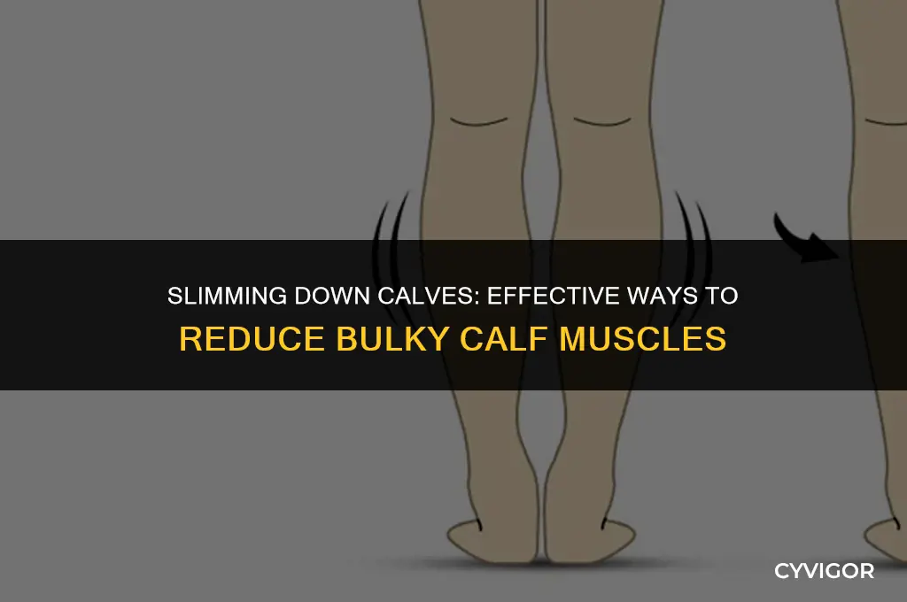 how to reduce bulky calf muscles