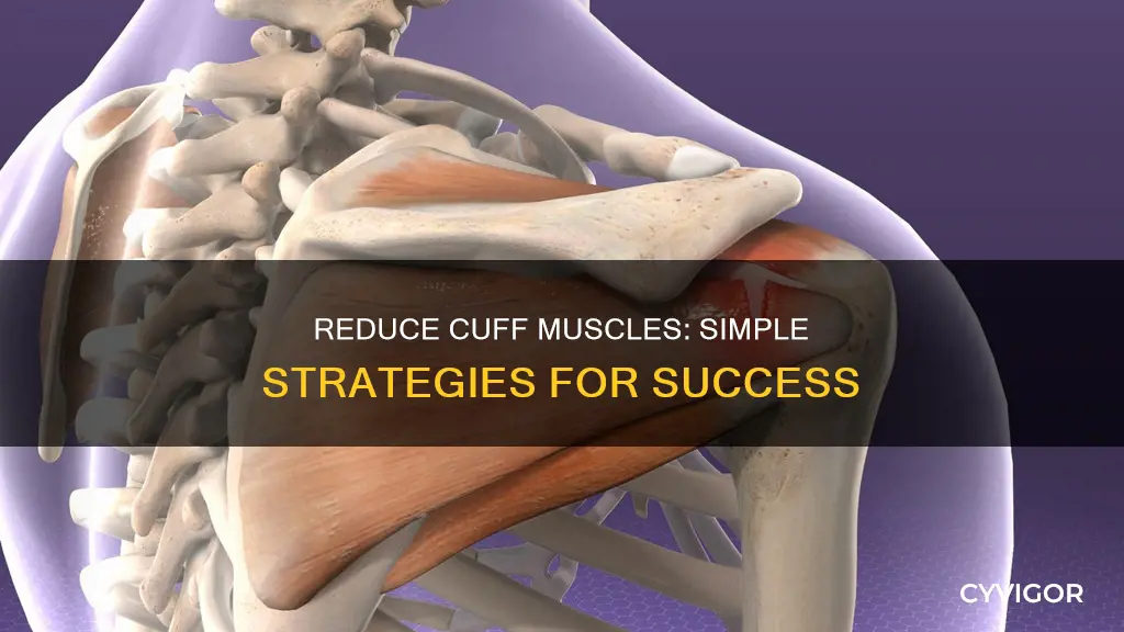 how to reduce cuff muscles