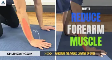 Reducing Forearm Muscle: Strategies for a Slimmer Physique