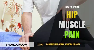 Effective Strategies to Relieve Hip Muscle Pain and Improve Mobility