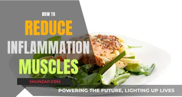 Reduce Muscle Inflammation: Natural Ways to Heal and Recover