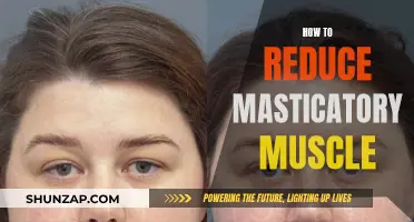 Relieving Masticatory Muscle Tension: Techniques for Relaxation and Reduction