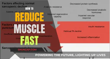 Reducing Muscle Mass: Strategies for Quick Results