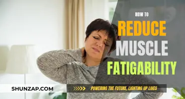 Reduce Muscle Fatigability: Strategies for Enhancing Endurance and Performance