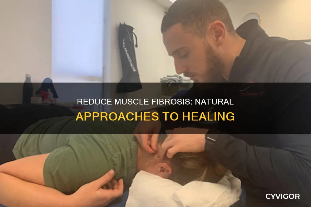how to reduce muscle fibrosis