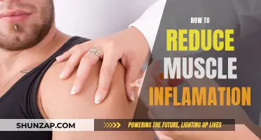 Reduce Muscle Inflammation: Natural Ways to Speed Up Recovery