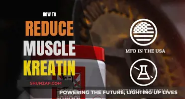 Minimizing Muscle Kreatin: Strategies for Efficient Reduction