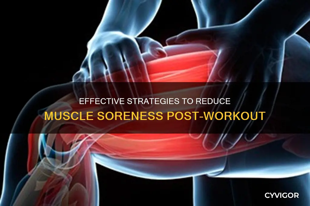 how to reduce muscle sore after workout