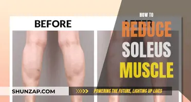 Reducing Soleus Muscle: Simple Tips for Effective Calf Muscle Reduction