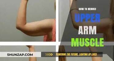 Tone and Trim: Effective Strategies to Reduce Upper Arm Muscle