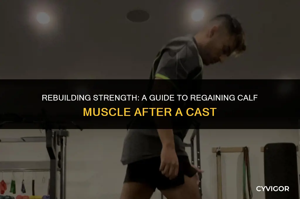 how to regain calf muscle after cast