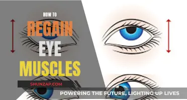 Regaining Eye Muscle Strength: Simple and Effective Tips