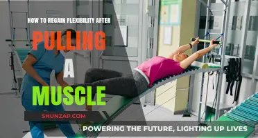 Heal and Stretch: Regaining Flexibility After a Pulled Muscle