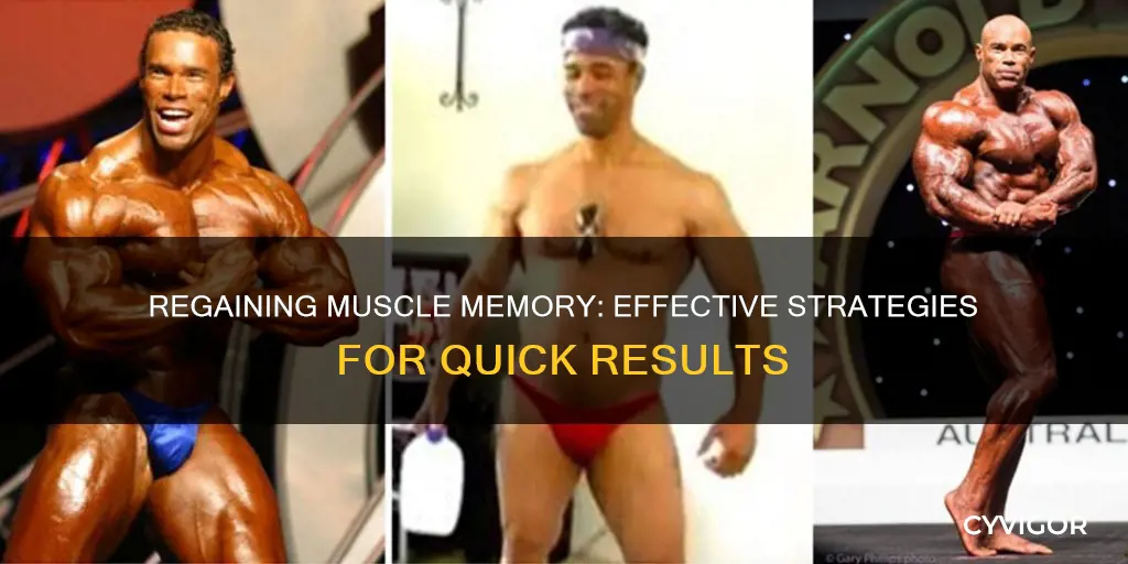 how to regain muscle memory