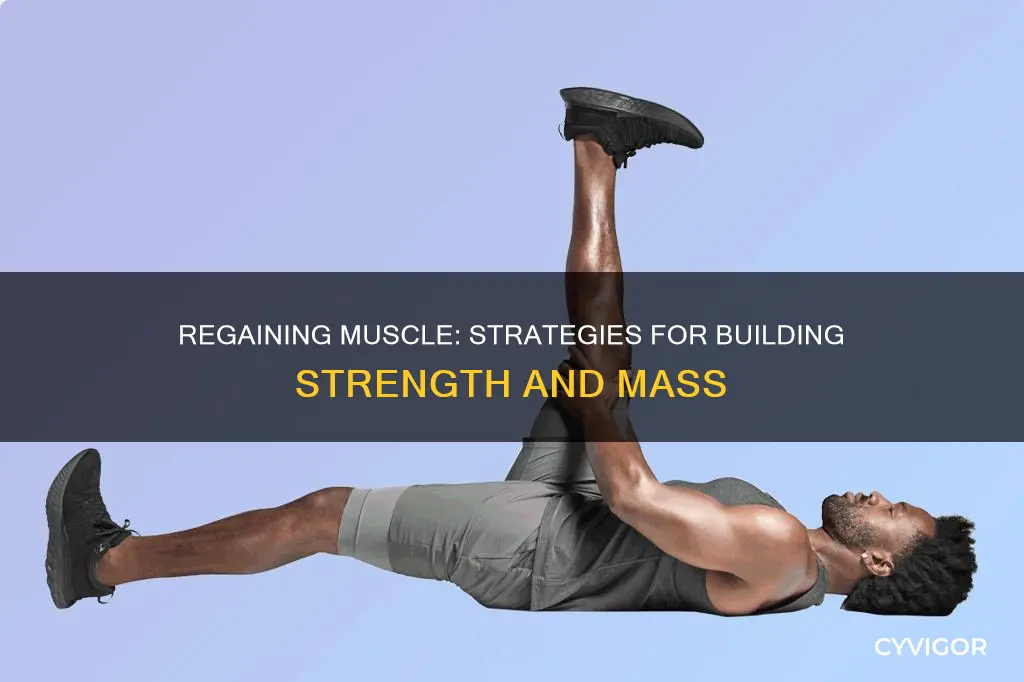how to regain muscle