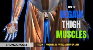 Regain Thigh Muscles: Strategies for Strength and Tone