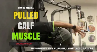 Effective Pulled Calf Muscle Rehab: Recovery Tips and Exercises Guide