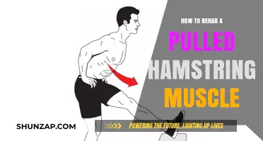 Effective Pulled Hamstring Rehab: Steps to Heal and Strengthen Safely