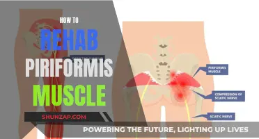 Rehabilitating the Piriformis Muscle: A Comprehensive Guide