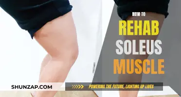 Rehabilitating Your Soleus Muscle: A Comprehensive Guide