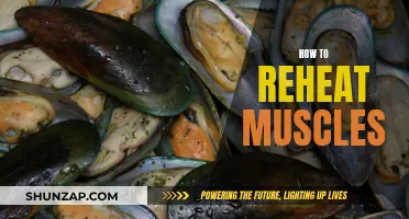 Reheating Muscles: Techniques for Optimal Recovery and Performance
