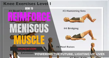 Reinforcing Meniscus Muscle: Exercises for Knee Strength and Stability