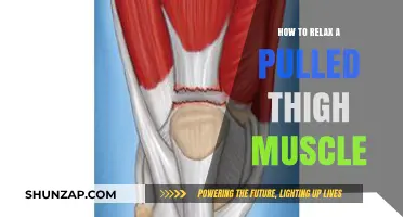 Effective Ways to Relax and Heal a Pulled Thigh Muscle Fast