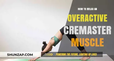 Effective Techniques to Calm Your Overactive Cremaster Muscle